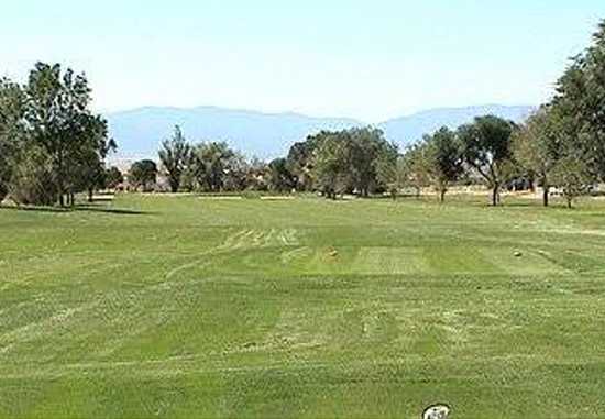 Desert Hawk At Pueblo West - photo 3
