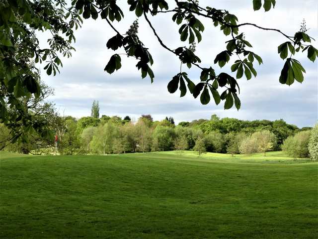 Delta Hotels by Marriott Worsley Park Country Club - photo 5