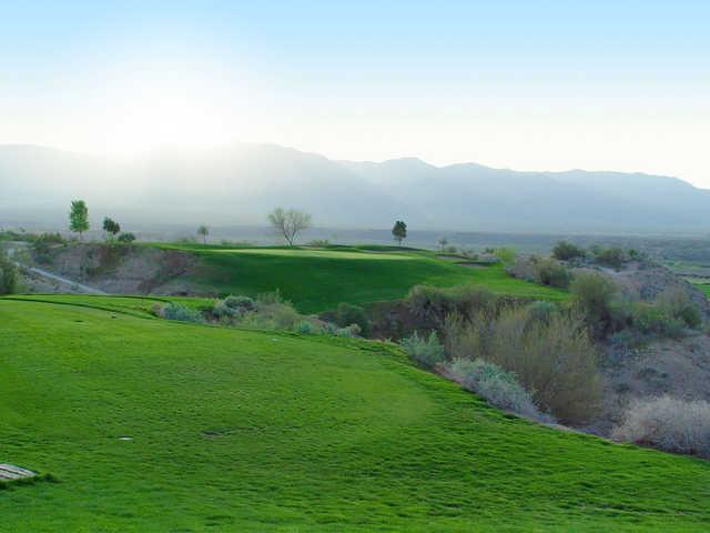 Palms Golf Club - photo 4