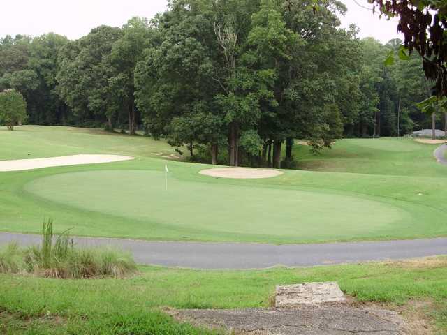 Alfred Tup Holmes Golf Course - photo 2