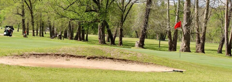 Lynrock Golf Course - photo 3