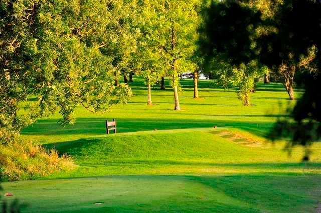 Newcastle West Golf Club - photo 3