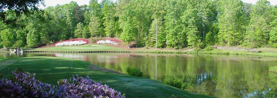 The Preserve at Verdae Golf Club - photo 7