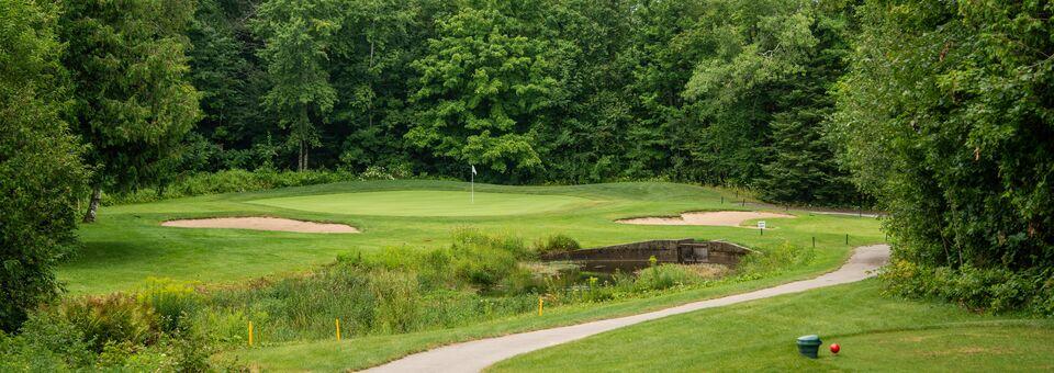 Valley Club (FKA Horseshoe Resort) - photo 5