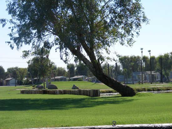 Desert Trails Golf Course and Resort - photo 1