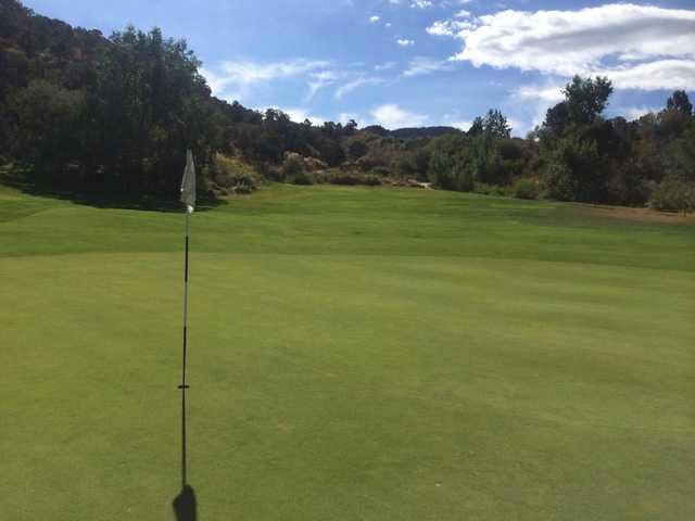 Cedar Ridge Golf Course - photo 2