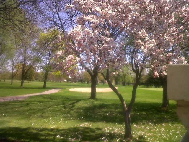 Royal Oak Golf Club - photo 2