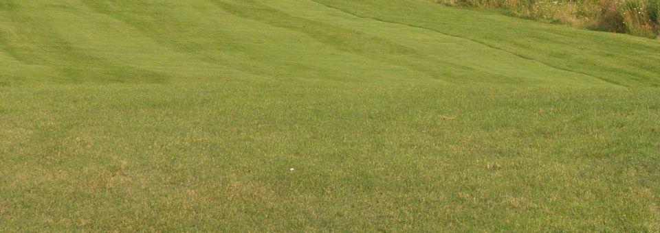Nine Springs Golf Course - photo 3