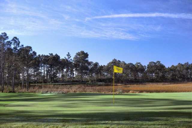 Champions Club at Summerfield - photo 4