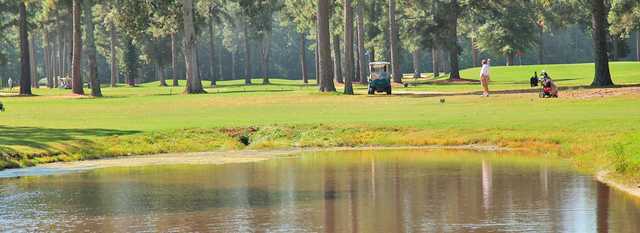 The Pines Golf Course - photo 2