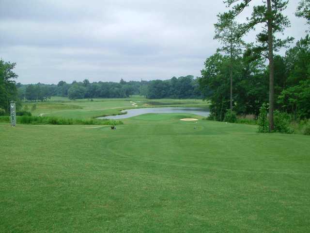 Wolf Creek Golf Course - photo 2