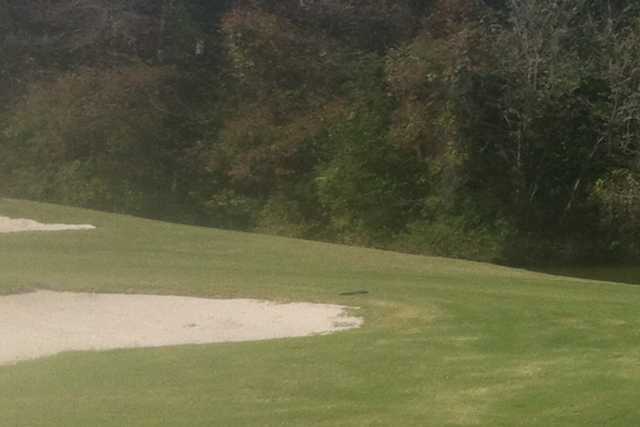 Cane Row Golf Club - photo 3