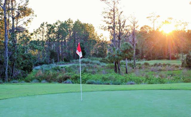 Hills Course at LPGA International Golf Club - photo 3