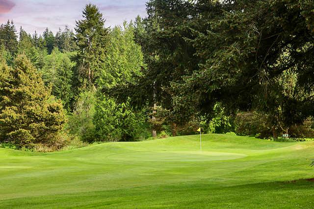 Island Greens - photo 2