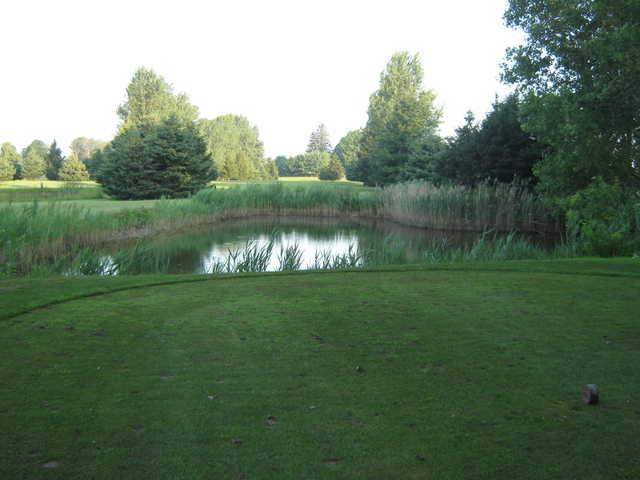 Dutton Meadows - photo 3