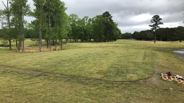 Aero Pines Golf Club - photo 3