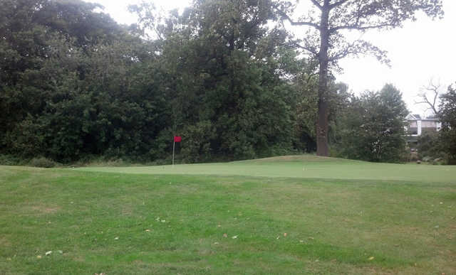 Clearview Park Golf Course - photo 6