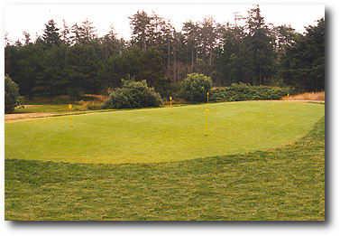 Manzanita Golf Course - photo 4