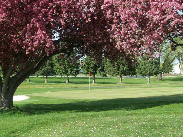 Umatilla Golf Course - photo 4