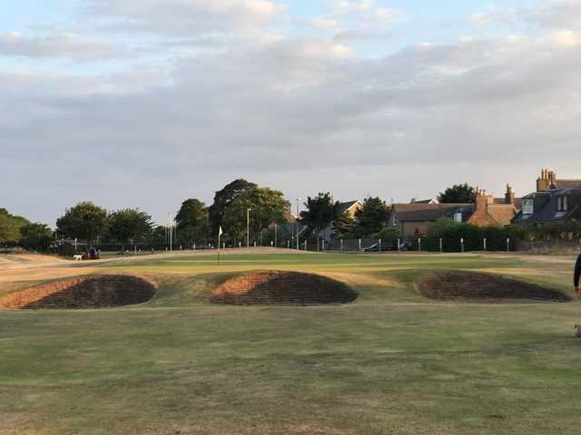Montrose Links - Medal