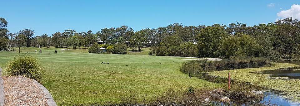 Peregian Springs Golf Club - photo 6