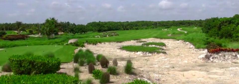 Hard Rock Golf Club at Cana Bay - photo 6