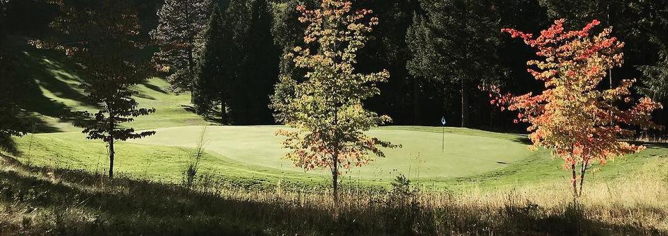 Apple Mountain Golf Resort - photo 8