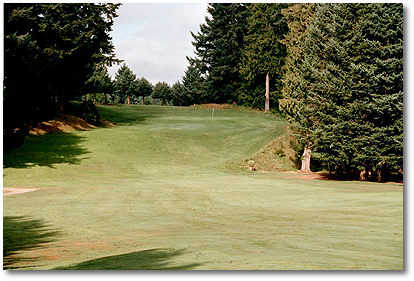 Springwater Golf Course - photo 5