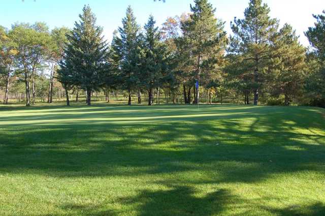Bemidji Town & Country Club - photo 2