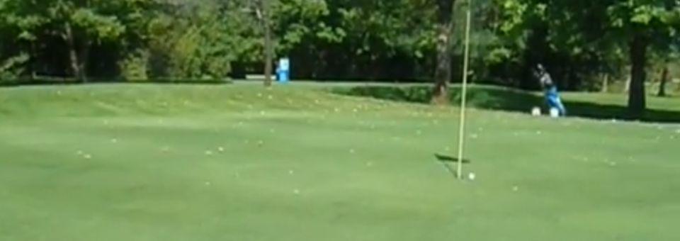 Lyndhurst Park Golf Club - photo 2