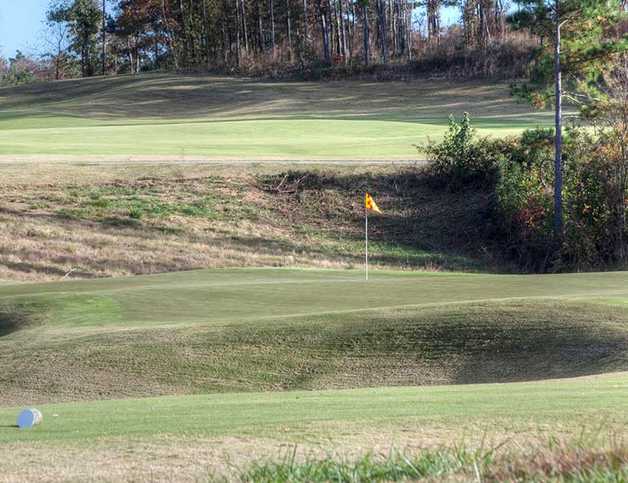 The Robert Trent Jones Golf Trail at Silver Lakes - photo 8