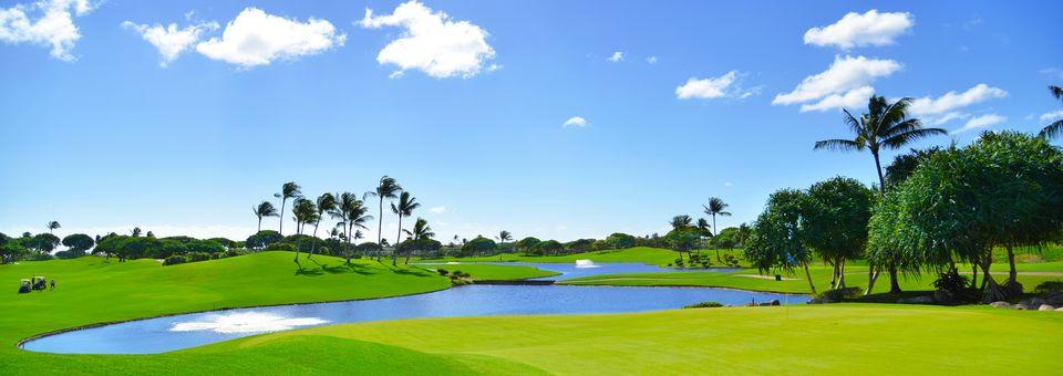 Kapolei Golf Club - photo 7
