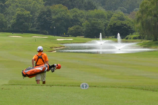 Starmount Forest Country Club - photo 2