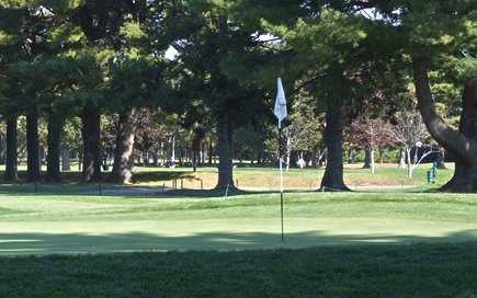 Wayland - photo 3