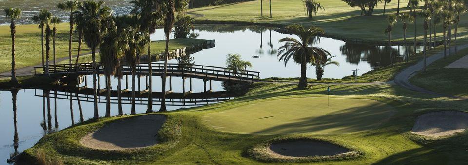 Cove Cay Golf Club - photo 6
