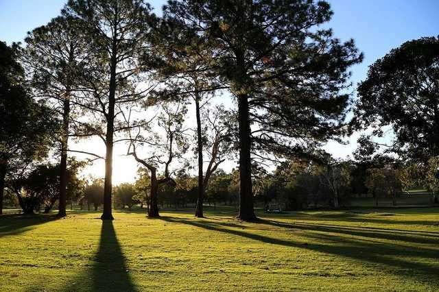 Wynnum Golf Club - photo 7