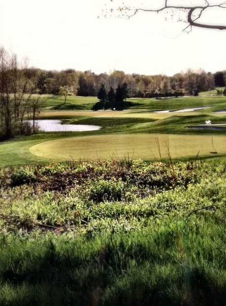 Ravenwood Golf Club - photo 4