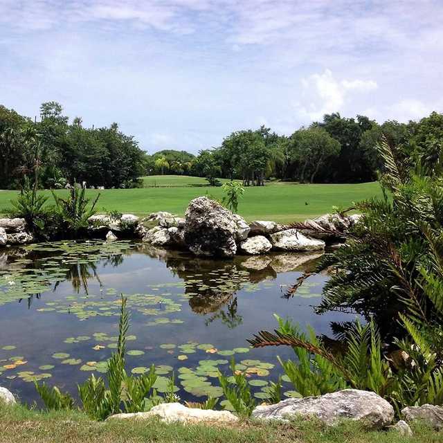 Puerto Aventuras Beach Marina and Golf Resort - photo 2