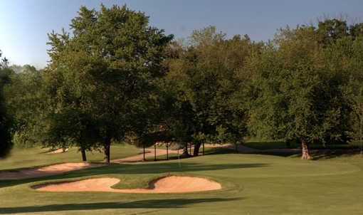 Cog Hill Golf & Country Club Course No. 1 - photo 3