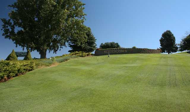 Scotch Pines Golf Course - photo 3