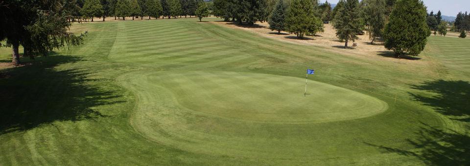 Sunset Grove Golf Club - photo 7