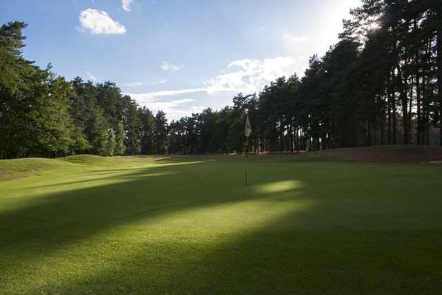 Market Rasen Golf Club - photo 5
