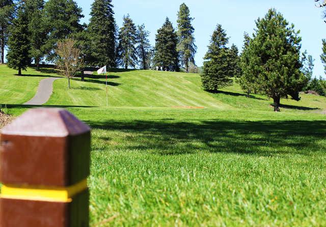 Stewart Park Municipal Golf Course - photo 2