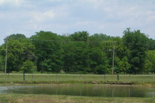 Sleepy Hollow Sports Park - photo 2