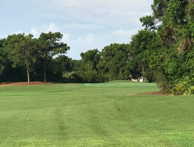 Long Marsh Golf Club - photo 3