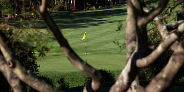 Pennant Hills Golf Club - photo 5