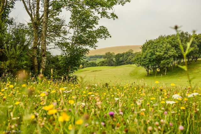 Pyecombe Golf Club - photo 3