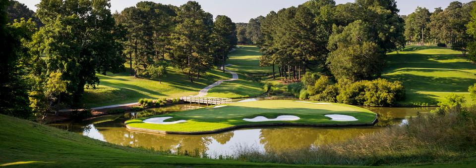 Gold Course at The Golden Horseshoe - photo 5