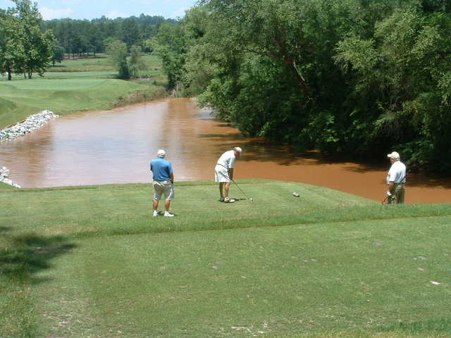 Musgrove Mill Golf Club - photo 2