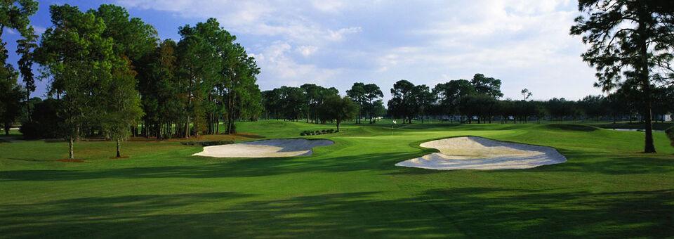 Lansbrook Golf Club - photo 5
